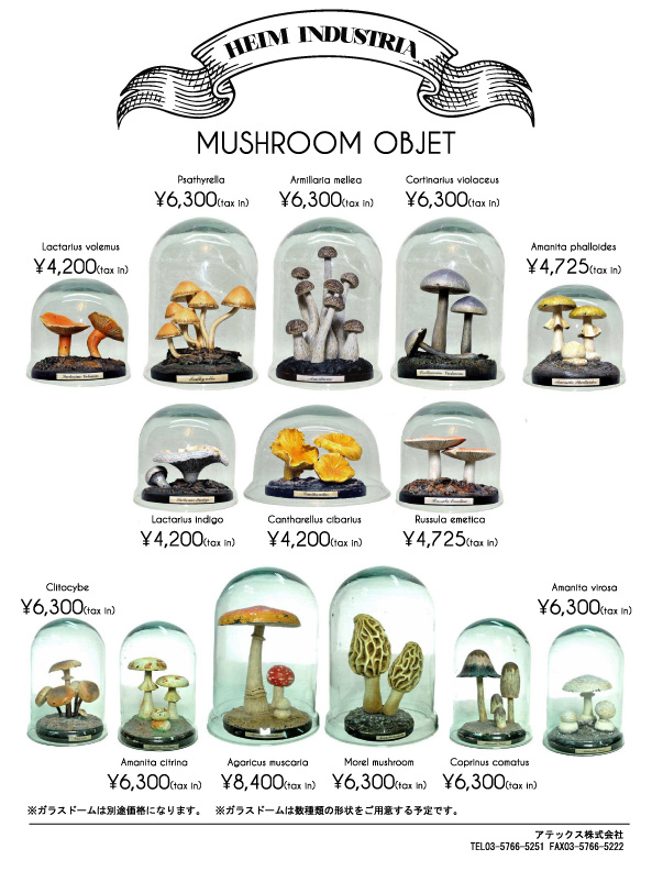 http://www.atexcorp.net/blog_dt/image/HEIM_MUSHROOM_001.jpg